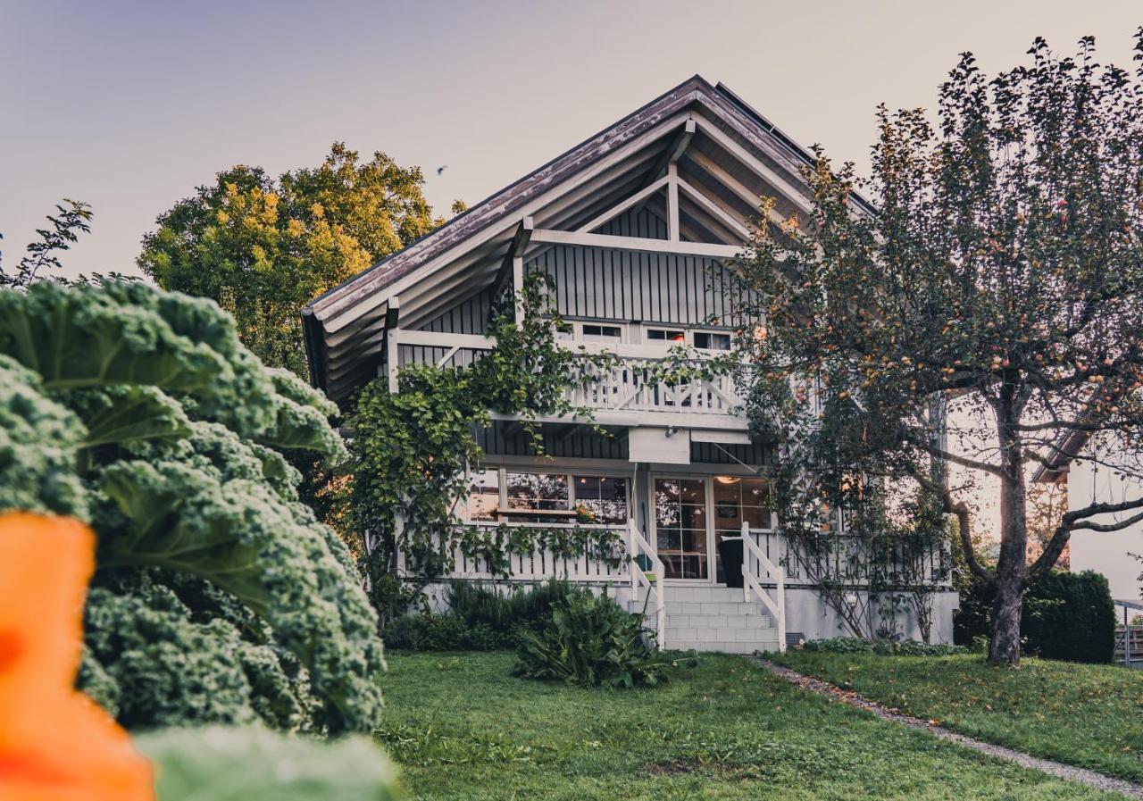 Armonia Altach, 2-6 P, 2 Schlafzimmer, Kueche, Parkplatz, Balkon, Wifi, Garten, Stellplatz Fuer Ski Exteriér fotografie